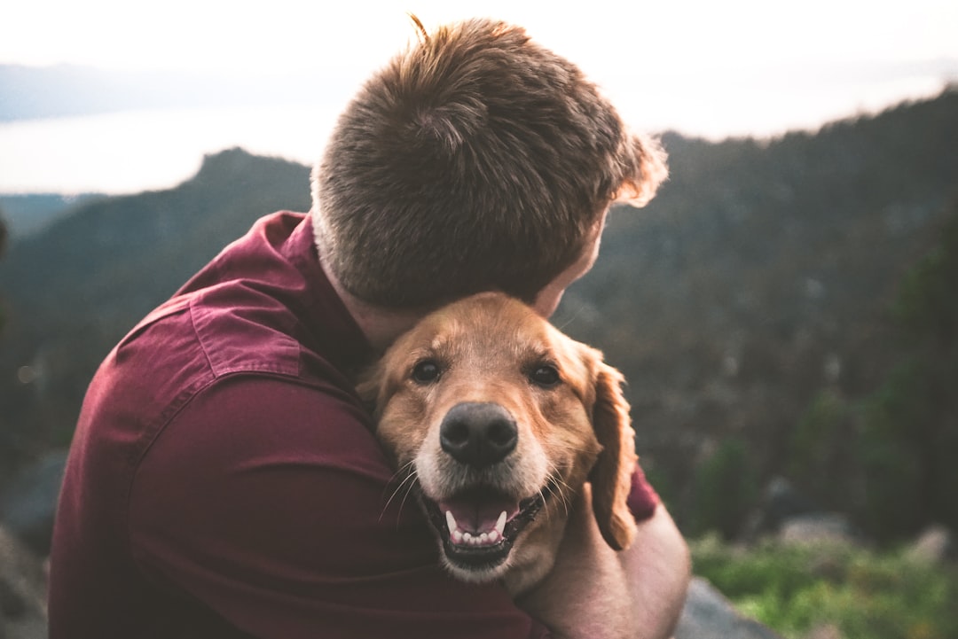 Pawsome Pals: The Joyful Bond Between Dogs and Their Humans 🐶💕